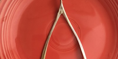 A clean wishbone on a dark orange Fiestaware plate.