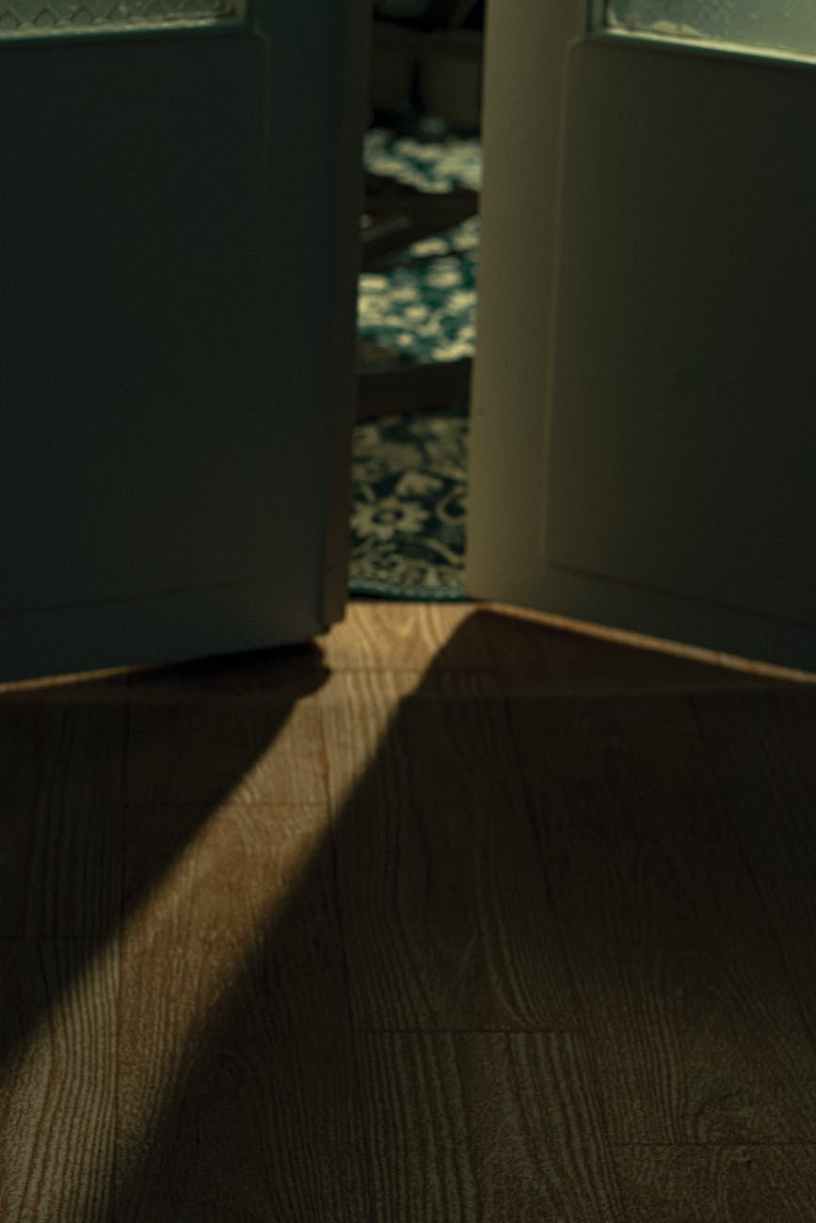 A dark image of a white door ajar leading from hardwood floor to a room with carpet.