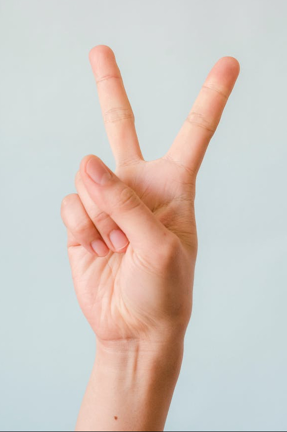 A peace sign made with the first two fingers forming a V and the thumb and other two fingers folded into the palm of the hand.