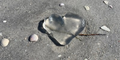 On gray sand beach is a clear plump heart with white seashells scattered around it.