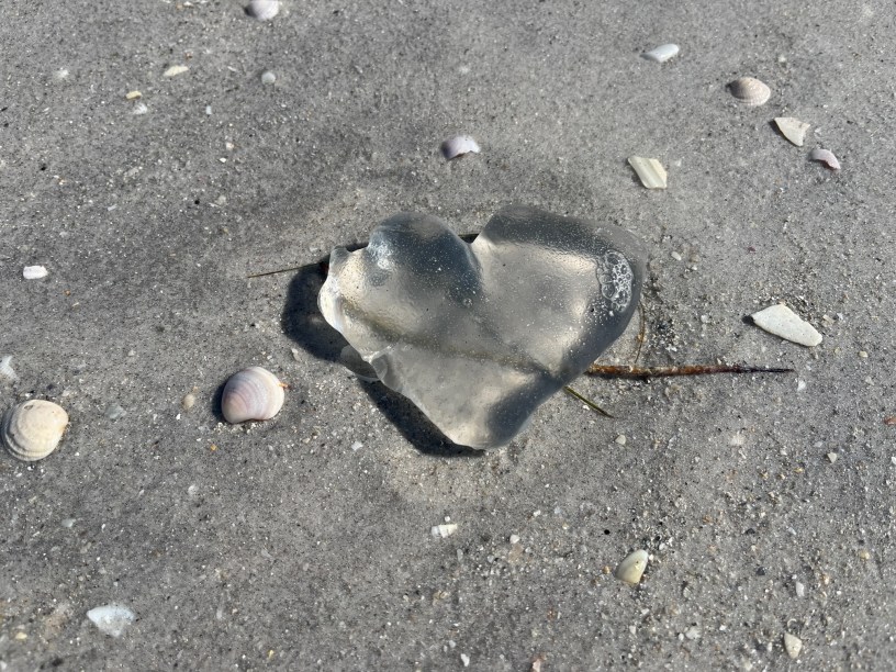 On gray sand beach is a clear plump heart with white seashells scattered around it.